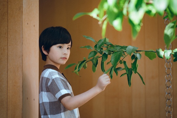 상자 속의 양 스틸 9