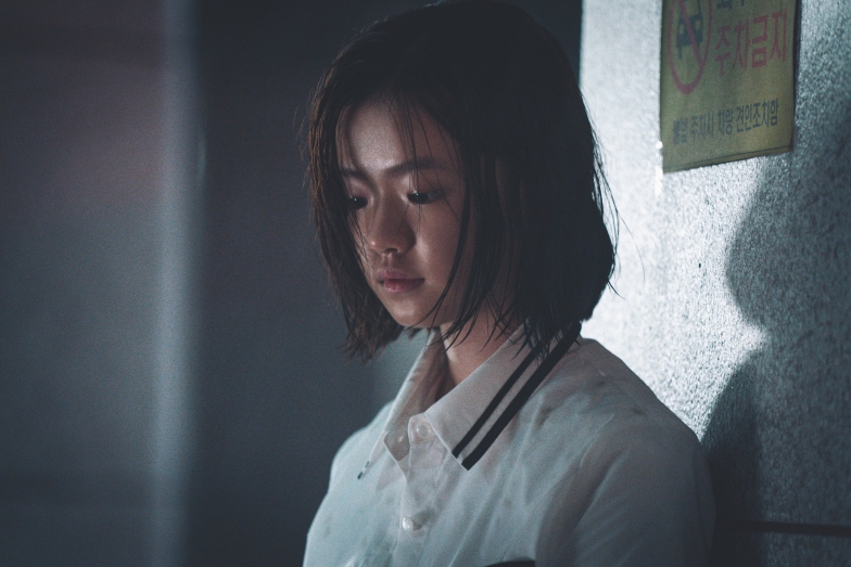 비광 스틸 8