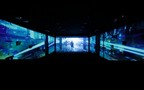 더 엑스 스틸 1
