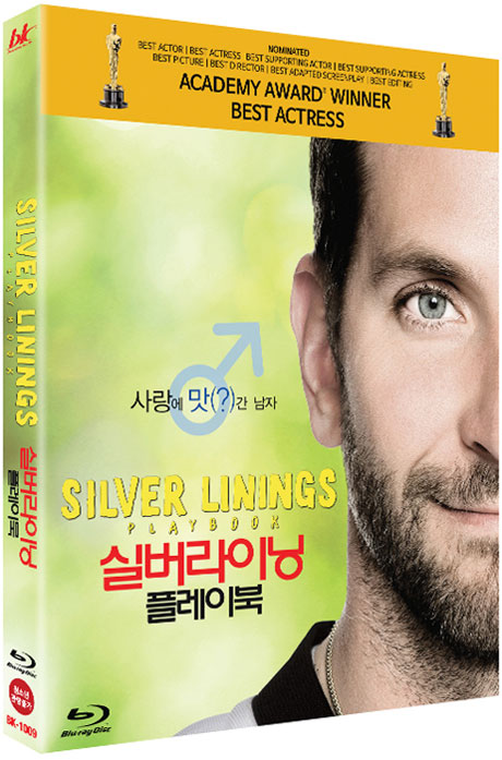 실버라이닝 플레이북 < 자료검색 < 영상도서관 - 한국영상자료원 실버라이닝 플레이북 - 한국영상자료원
